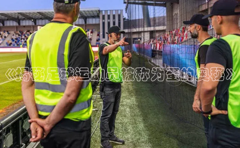 6688体育集团app下载慧博云通《揭秘足球运动员被称为蛋的奥秘》