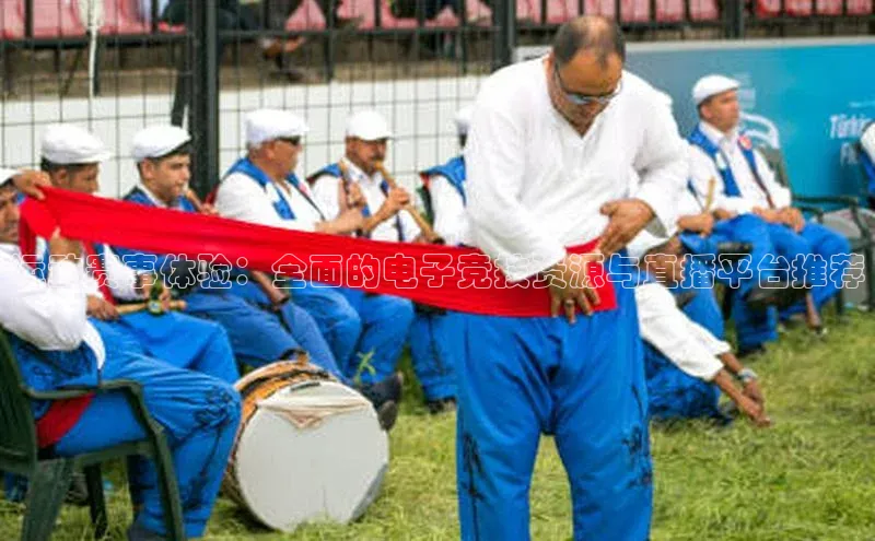 运动赛事体验：全面的电子竞技资源与直播平台推荐