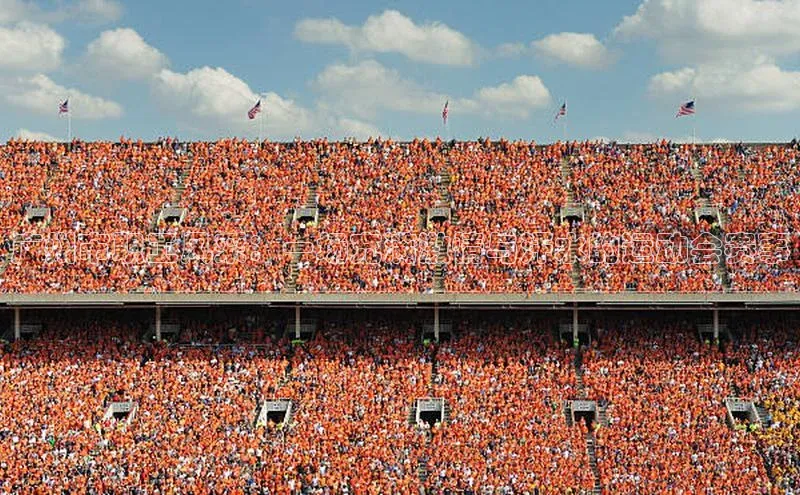 广州市职工风采：一场充满激情与汗水的运动会赛事