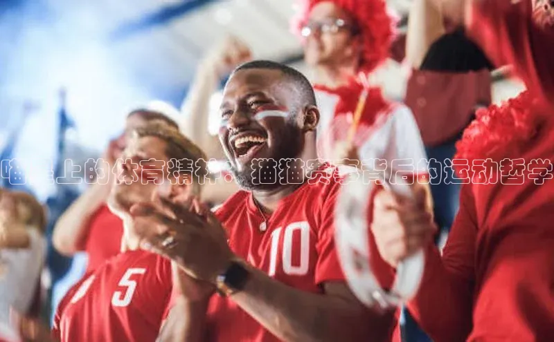 喵星上的体育精神：猫猫赛事背后的运动哲学