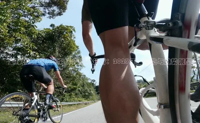 全球顶级运动赛事综合排名分析：2023年度概览与趋势展望