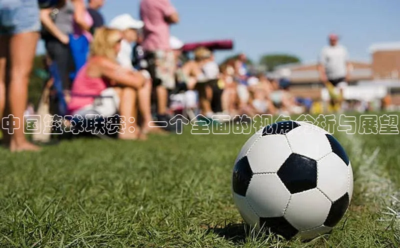 中国篮球联赛：一个全面的视角分析与展望