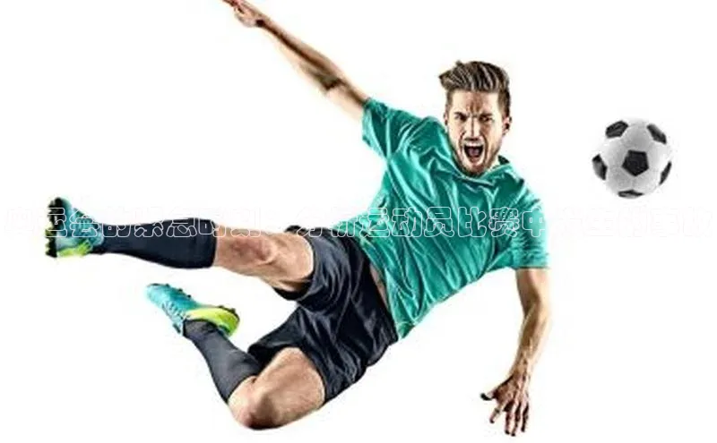 6688体育手机版登录