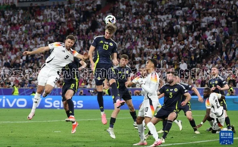 6688官方网站入口登录最新版