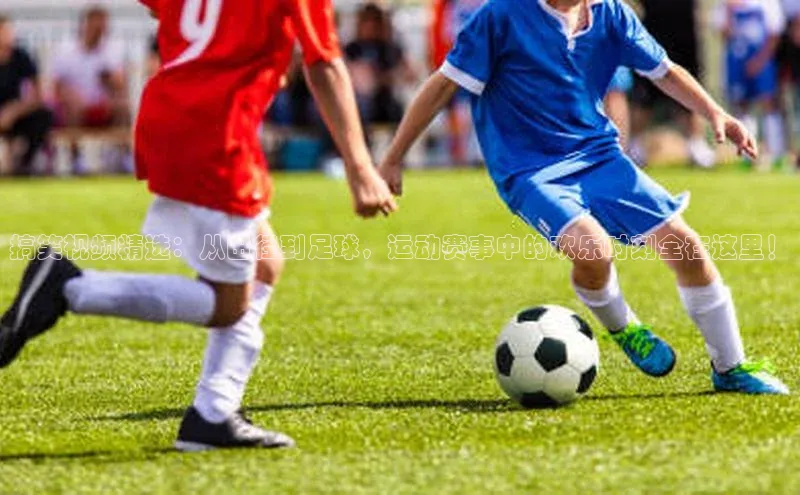 6688官方体育登录入口