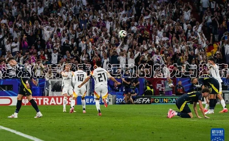 6688体育官网入口网址