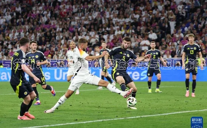 与分析：运动赛事的经验分享与应用策略