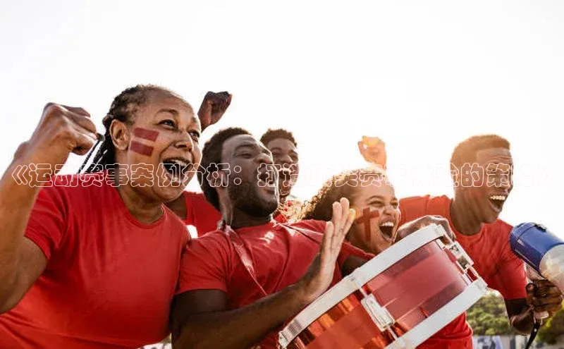 《运动赛事案例分析：打造顶尖赛事体验的策略》